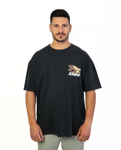 T-Shirt Cotton Vintage Pegasus Amiri